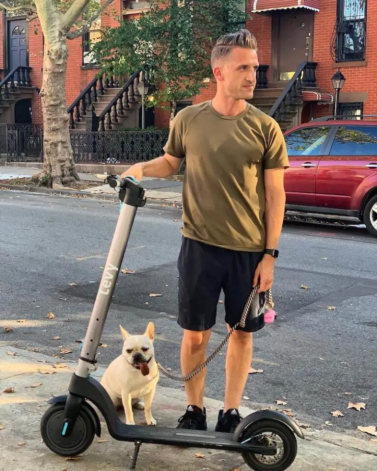 Can You Walk A Dog With An Electric Scooter? A Complete Guide!